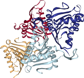 thumbnail of Human Family With  Sequence Similarity 83  Member B (FAM83B)