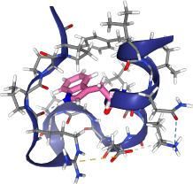 thumbnail of Trp-cage mini-protein construct (PDB: 1L2Y)