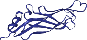 thumbnail of Human Mixed- Lineage Leukemia, Translocated to 1 (MLLT1)