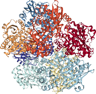 thumbnail of Lysine Demethylase JMJD2D (KDM4D)