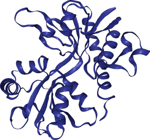 thumbnail of Plasmodium bormodomain PfBDP4